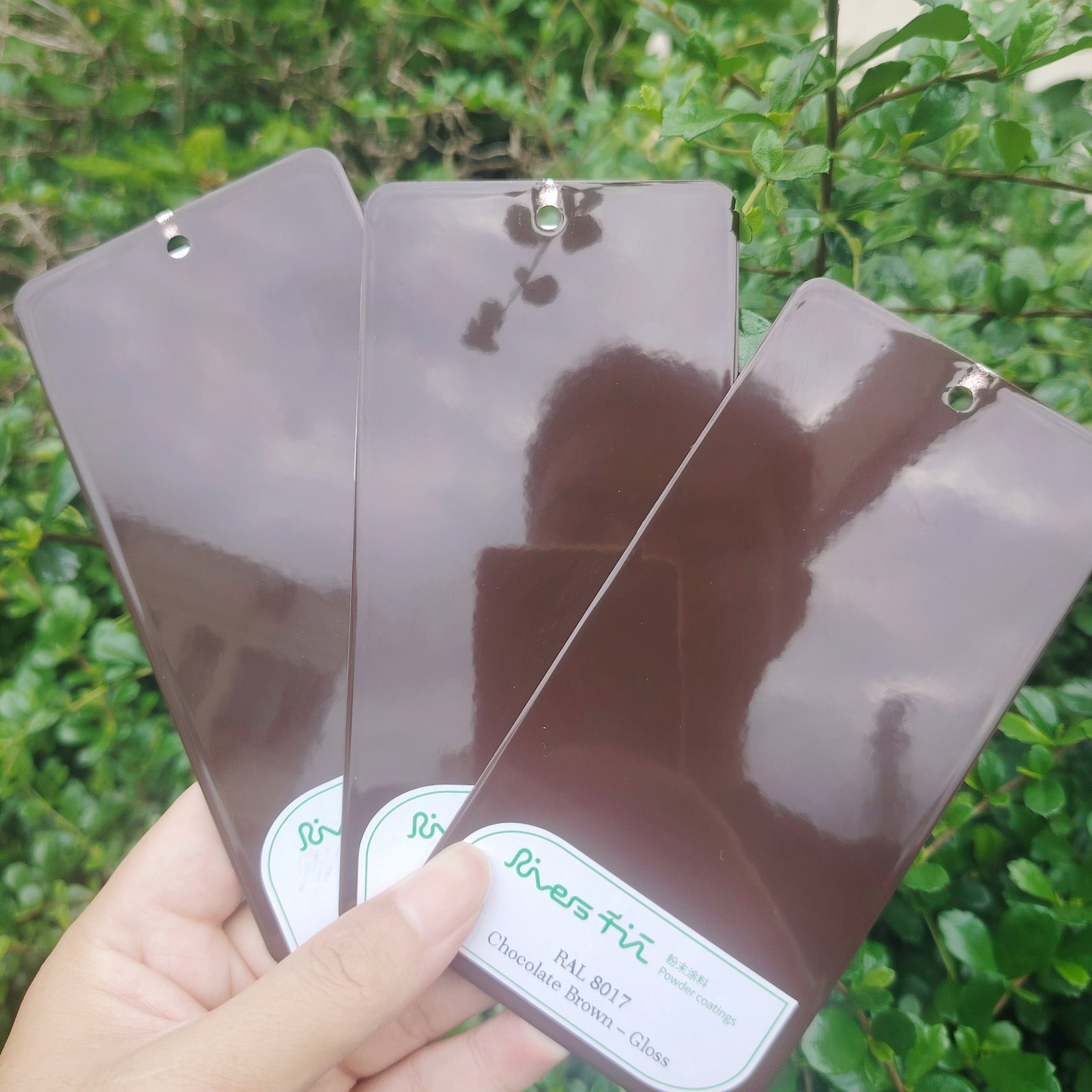 Brown powder coating series