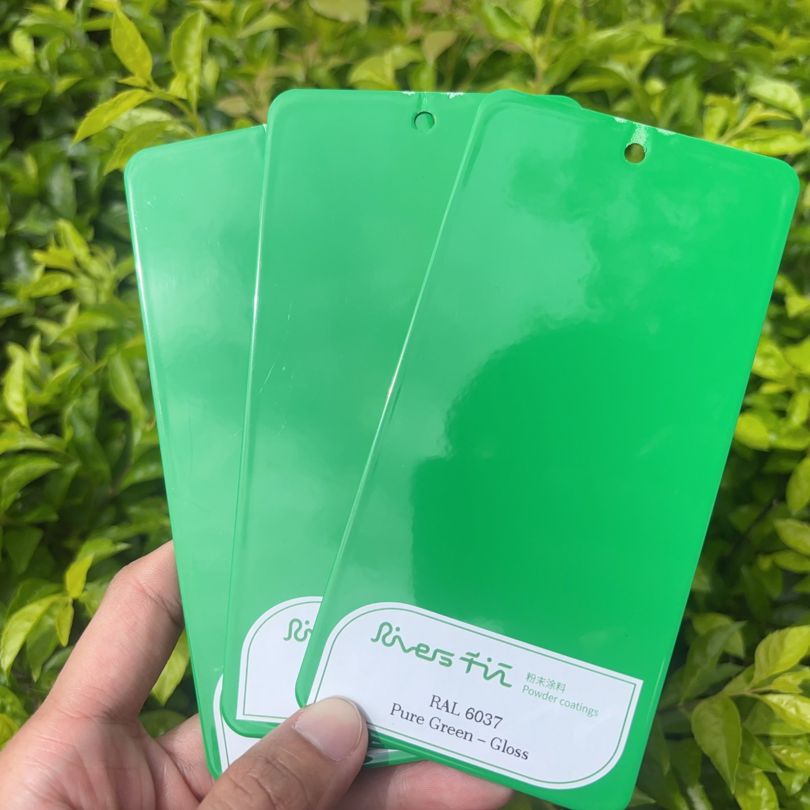 Green powder coating series