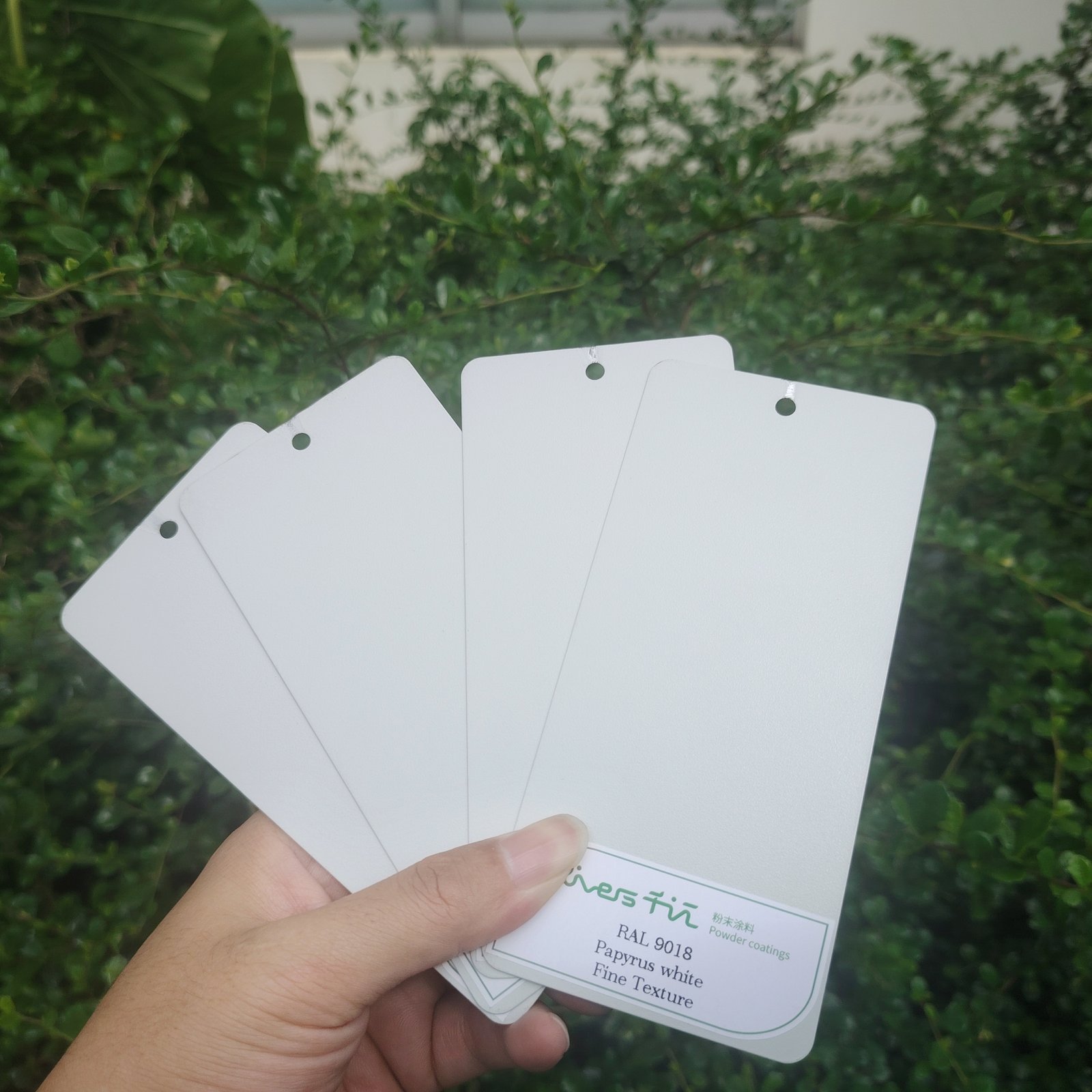White powder coating series