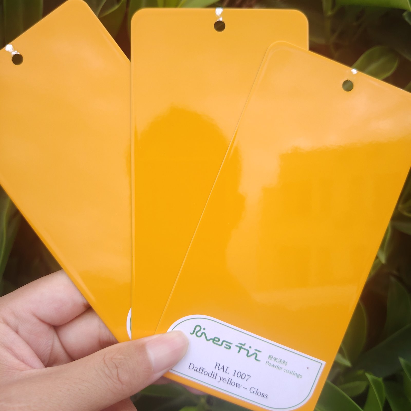 Yellow and orange powder coating series